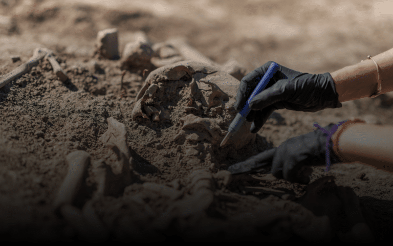 archeolog Białystok